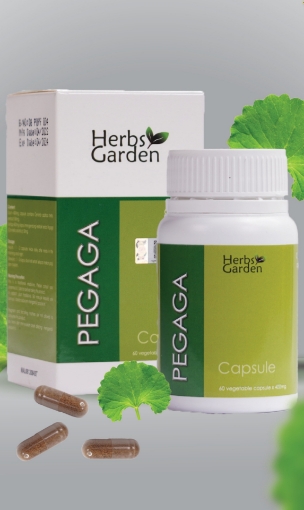 Picture of Herbs Garden Pegaga 