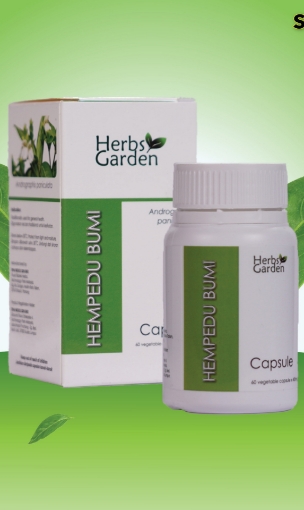 Picture of Herbs Garden Hempedu Bumi 