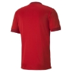 Picture of PUMA teamFINAL 21 Jersey Puma Red-Chili Peppe Male - 70417001