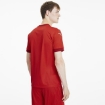 Picture of PUMA teamFINAL 21 Jersey Puma Red-Chili Peppe Male - 70417001